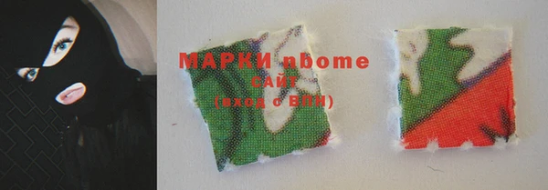 прущие грибы Михайловка