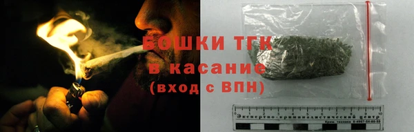 прущие грибы Михайловка