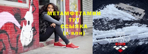 прущие грибы Михайловка
