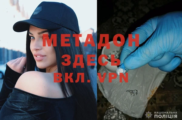 прущие грибы Михайловка
