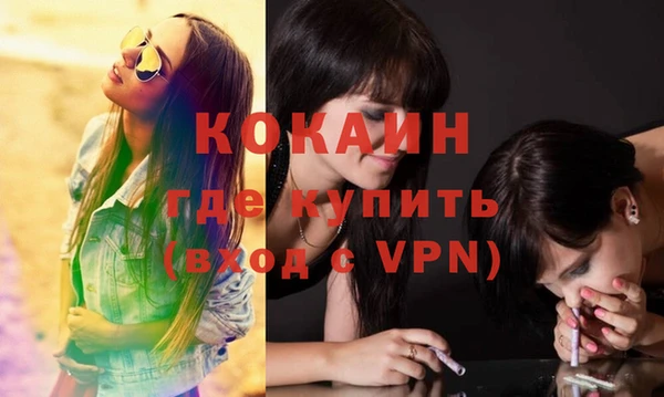 прущие грибы Михайловка