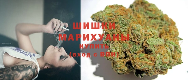 прущие грибы Михайловка